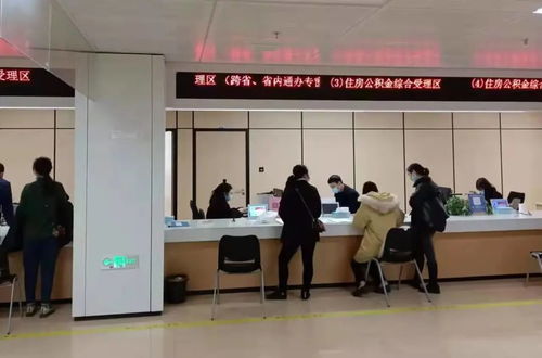 政務服務再升級 異地代收代辦與法律事務代理全面開通